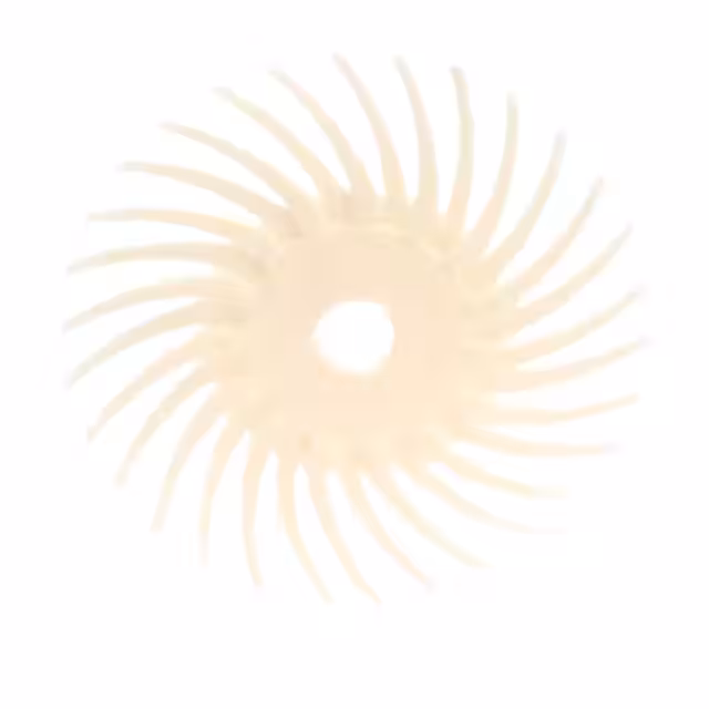 61500175783 3M  Abrasives and Surface Conditioning Products